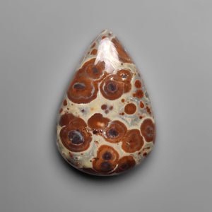Mexican Asteroid Jasper Cabochon