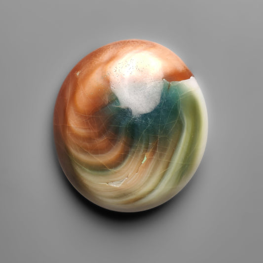 Shiva Eye Shell