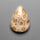 Fossil Coral