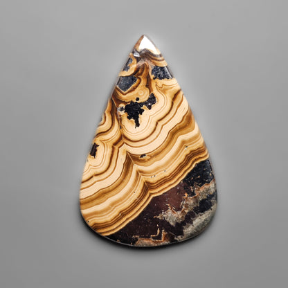 Schalenblende