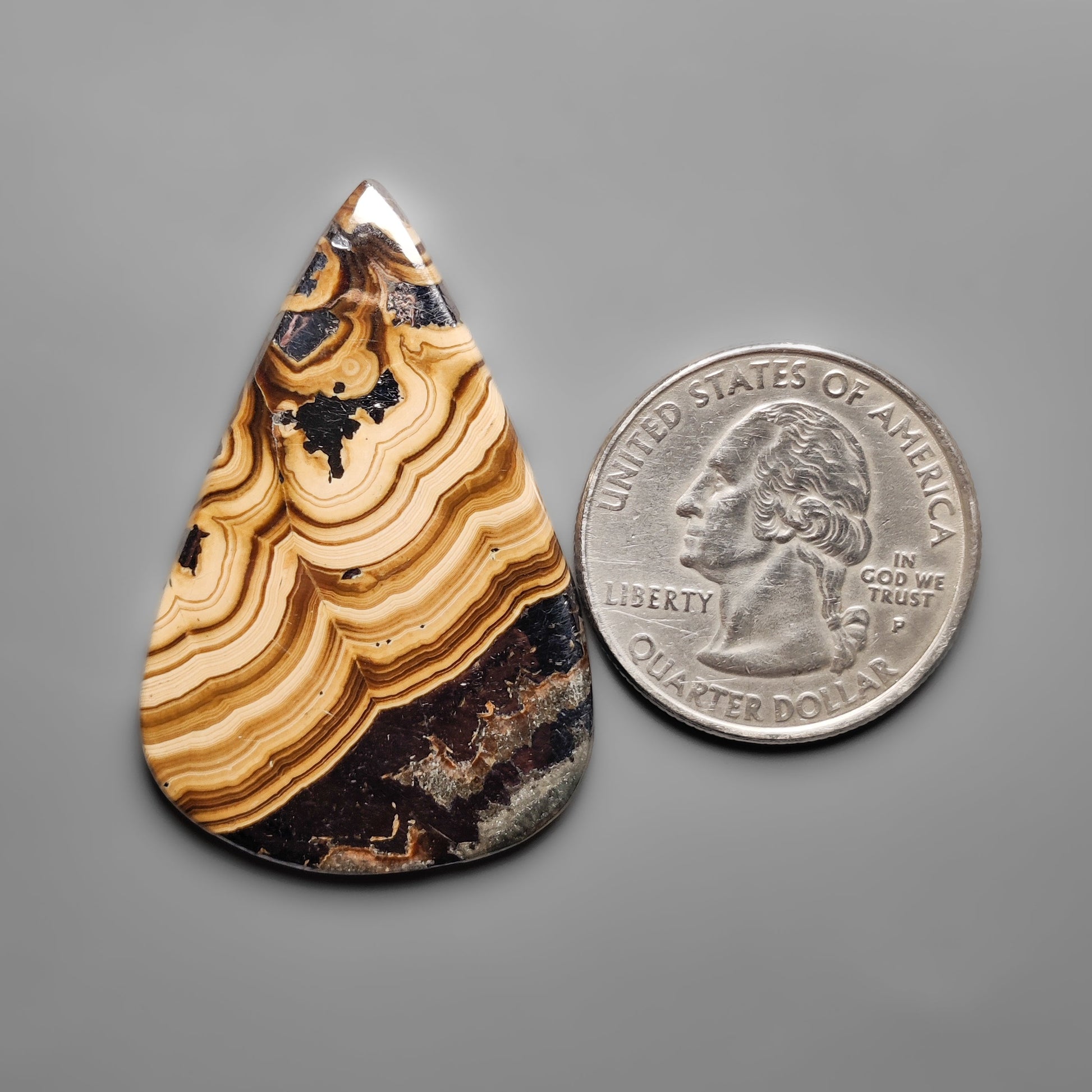 Schalenblende