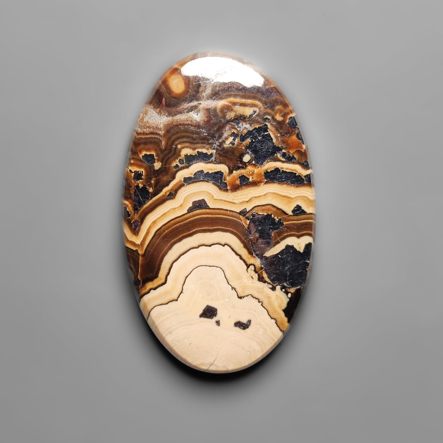 Schalenblende