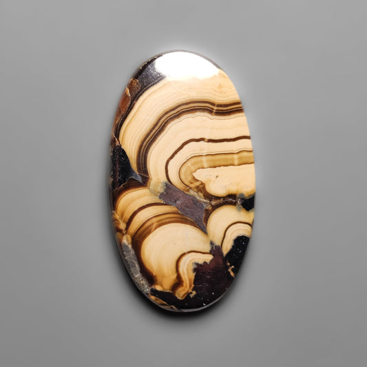 Schalenblende