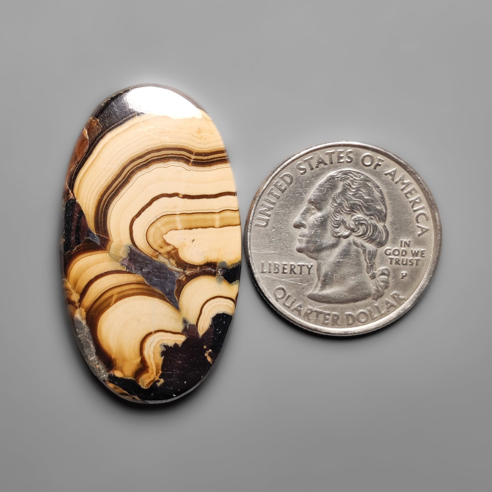 Schalenblende