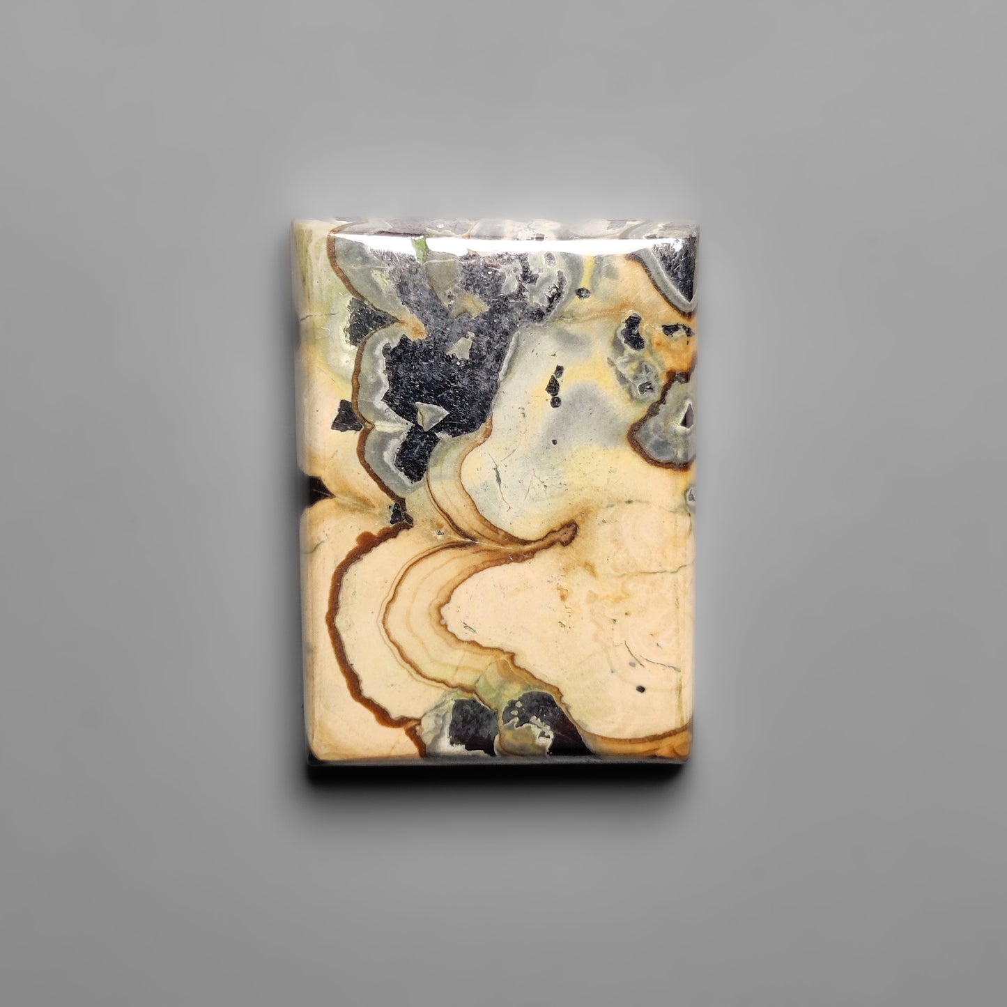 Schalenblende