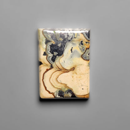Schalenblende