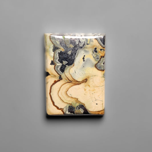 Schalenblende