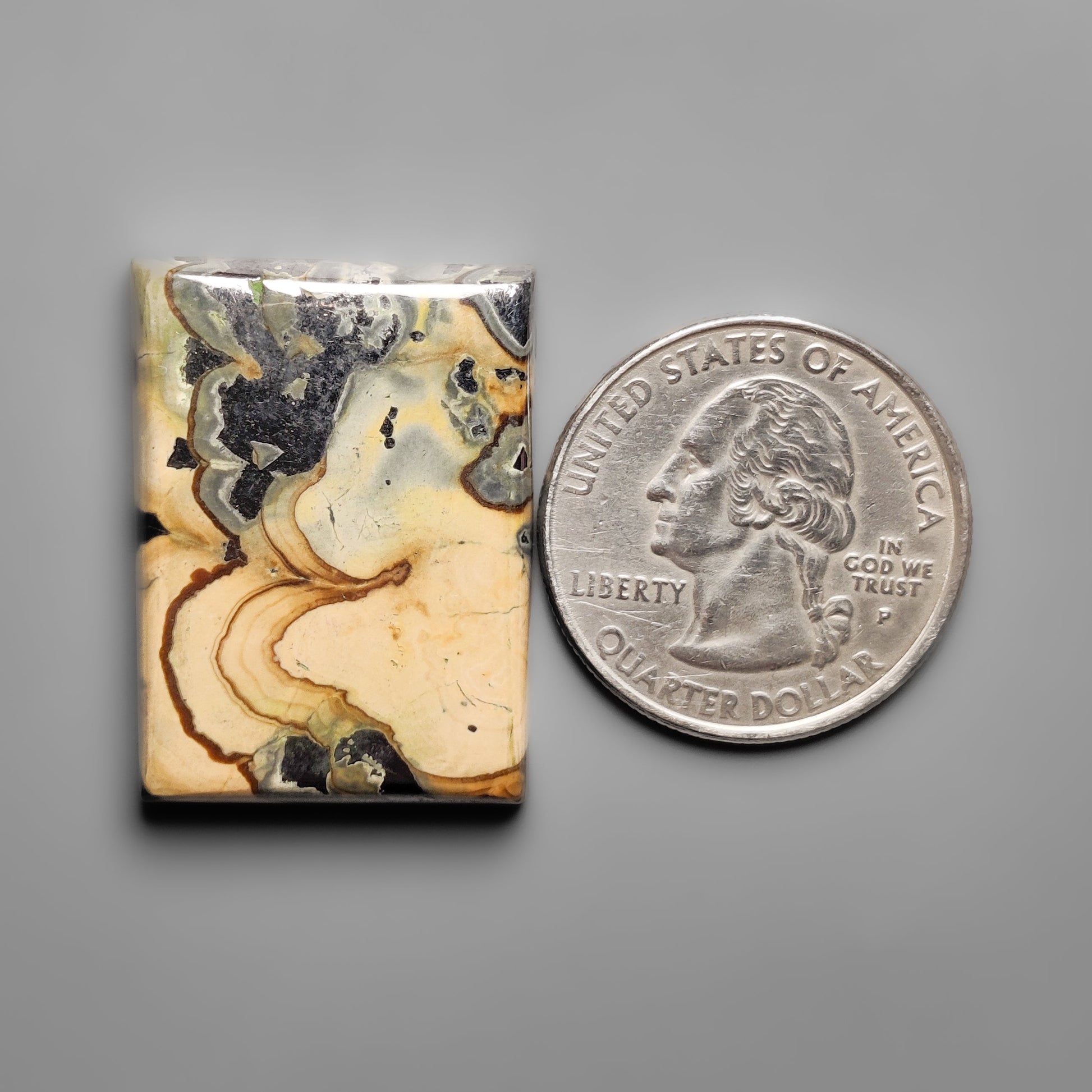 Schalenblende