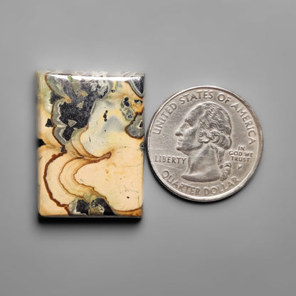Schalenblende
