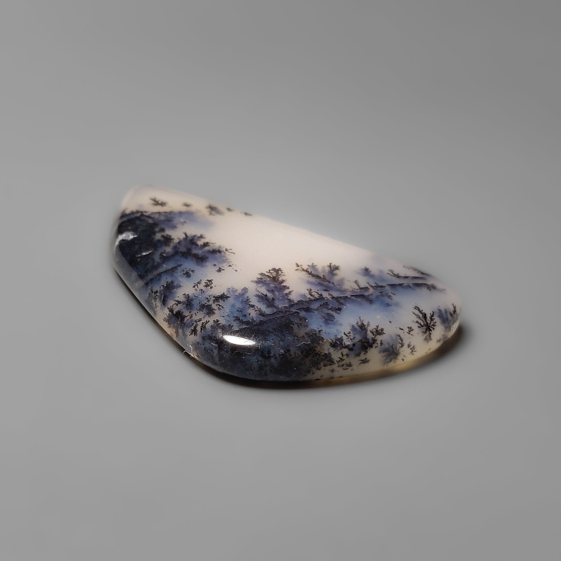 Dendritic Agate