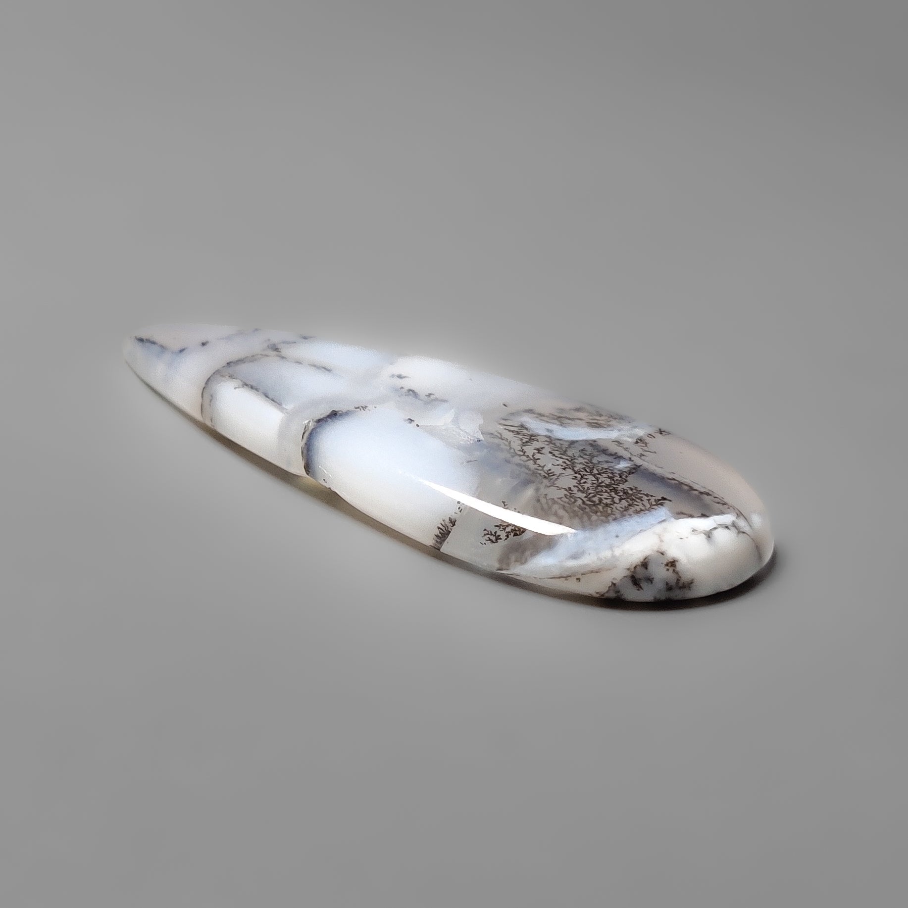 Dendritic Agate