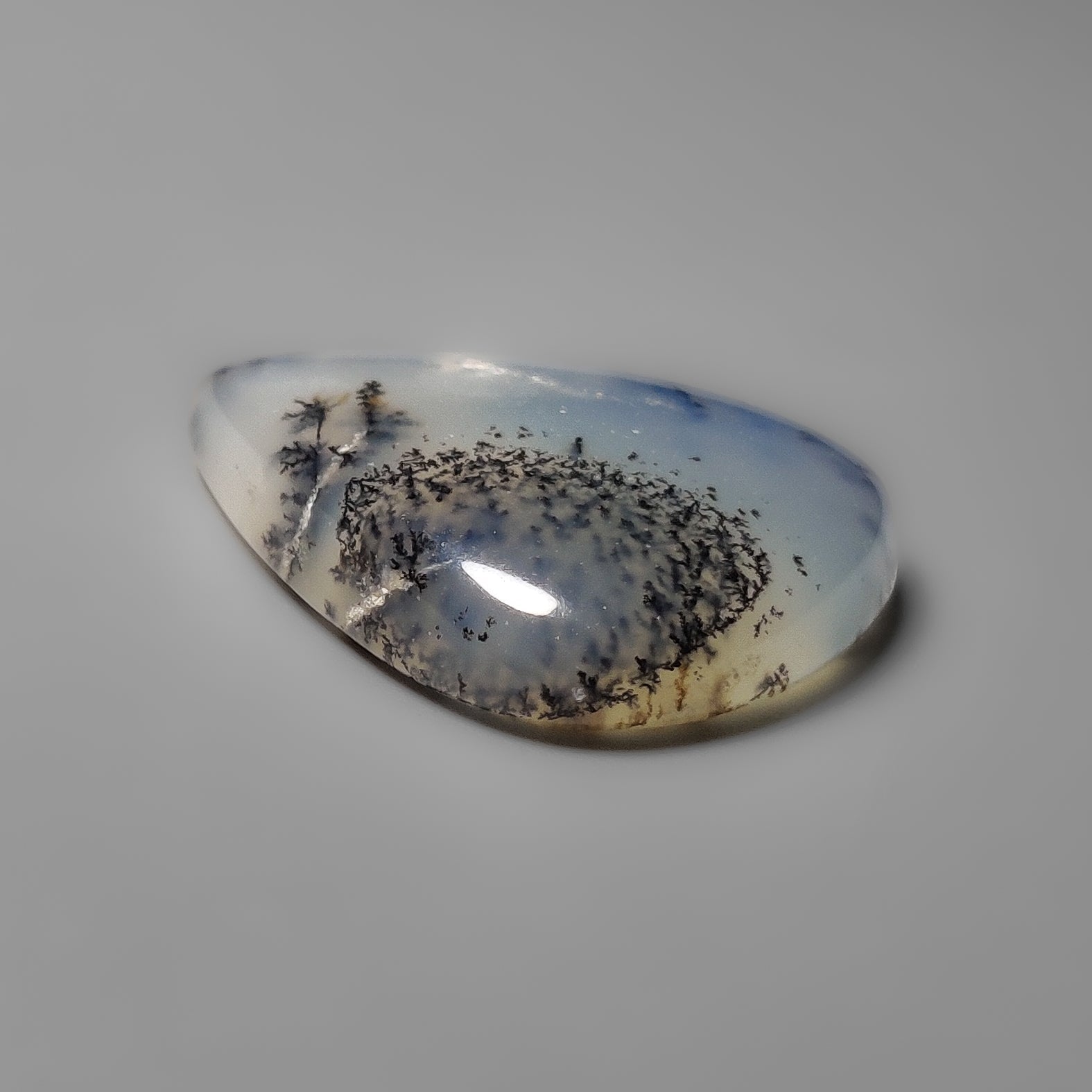 Dendritic Agate
