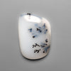 Dendritic Agate