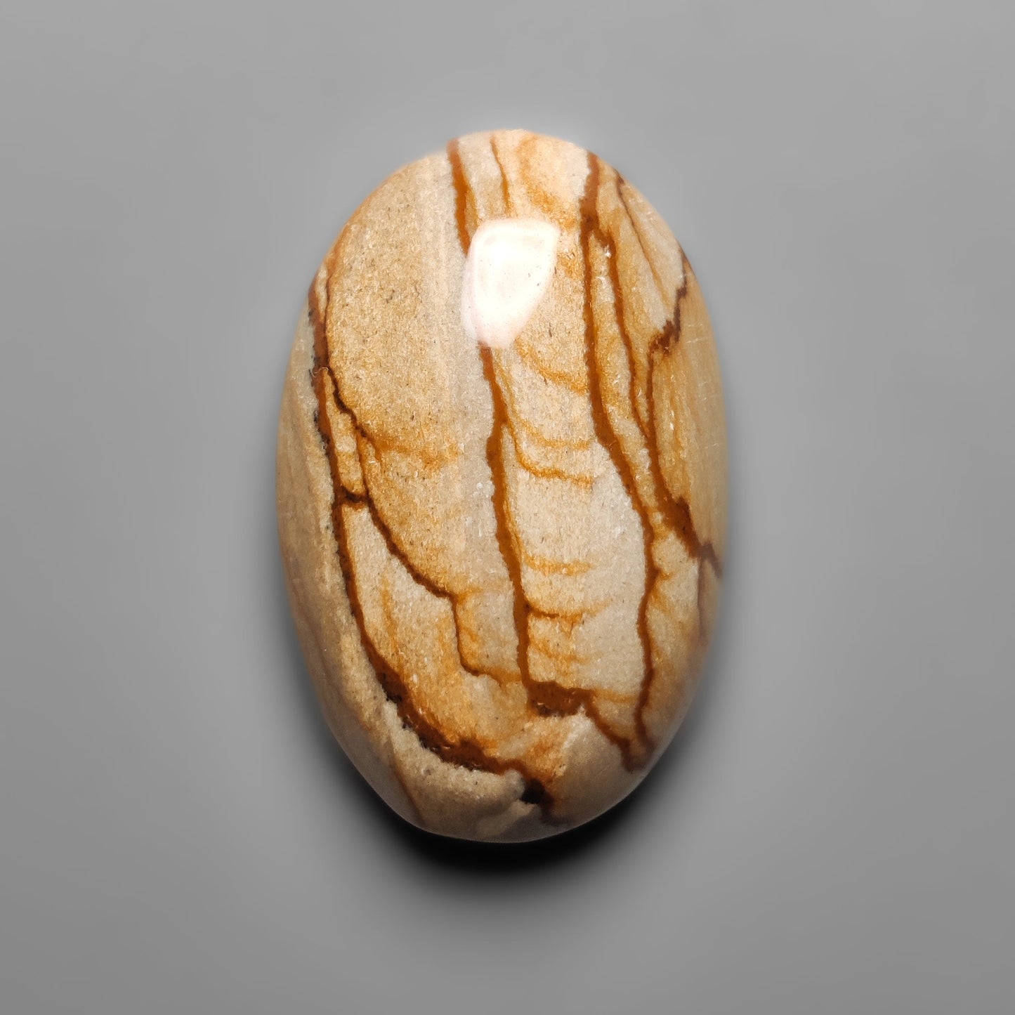 Picture Jasper