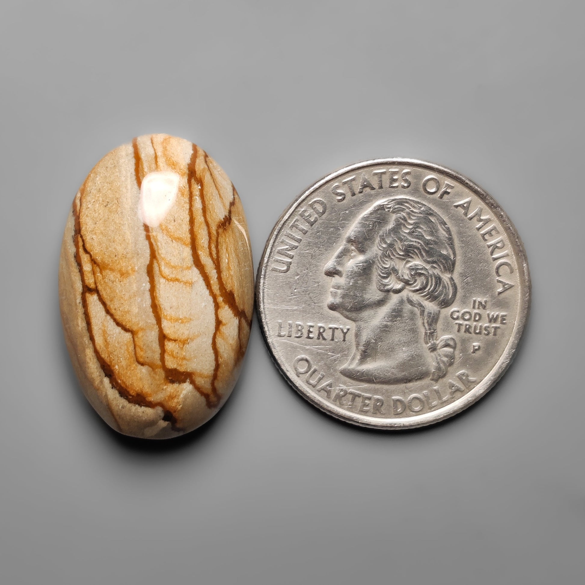 Picture Jasper
