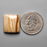 Picture Jasper