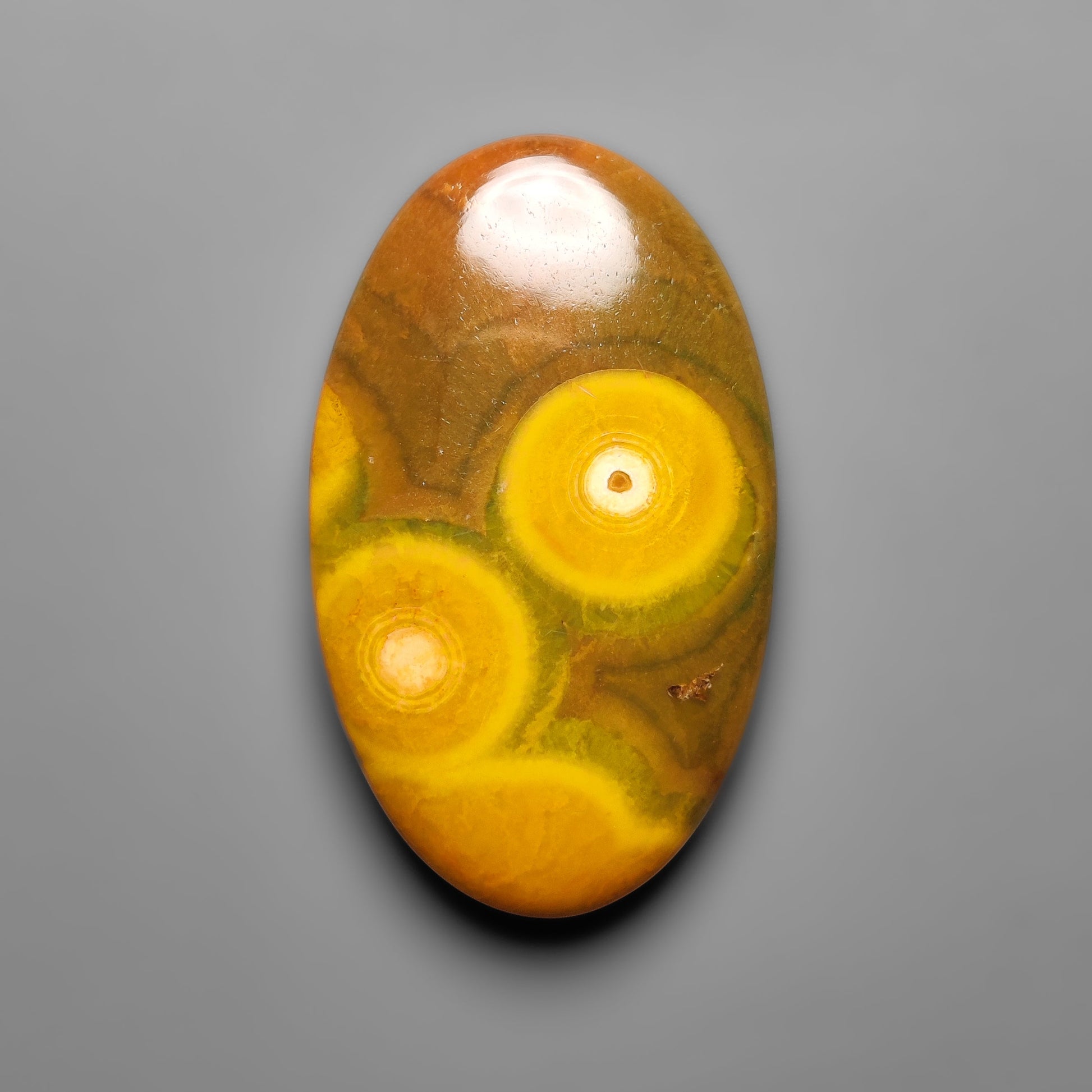 Ocean Jasper