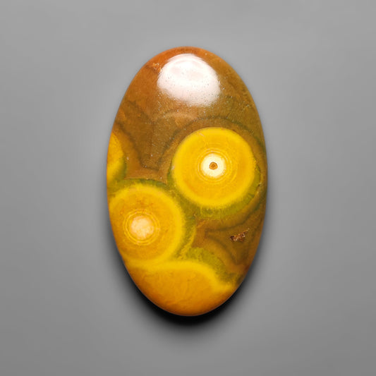 Ocean Jasper