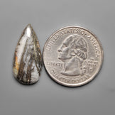 Feather Pyrite,Pyrite