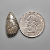 Feather Pyrite,Pyrite