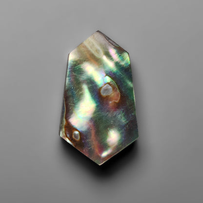 Abalone Shell