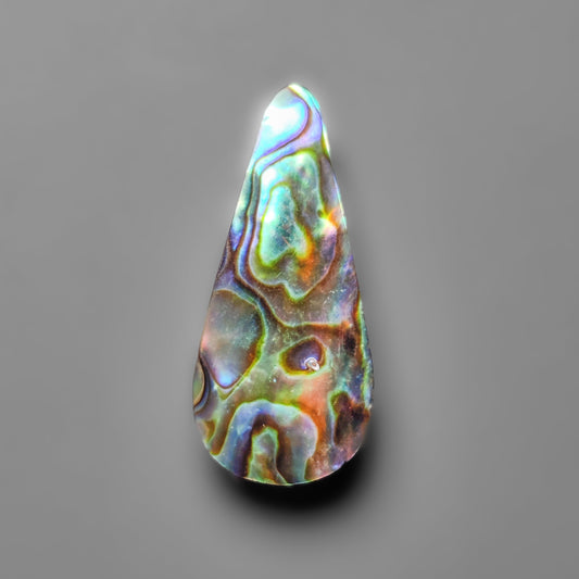 Abalone Shell