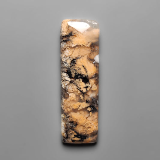 Dendritic Agate