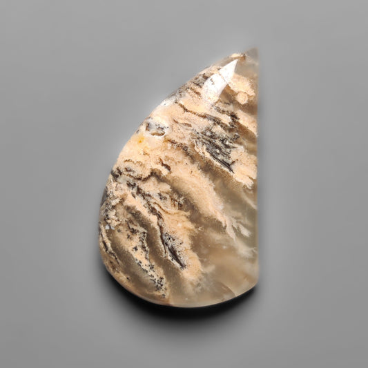 Dendritic Agate