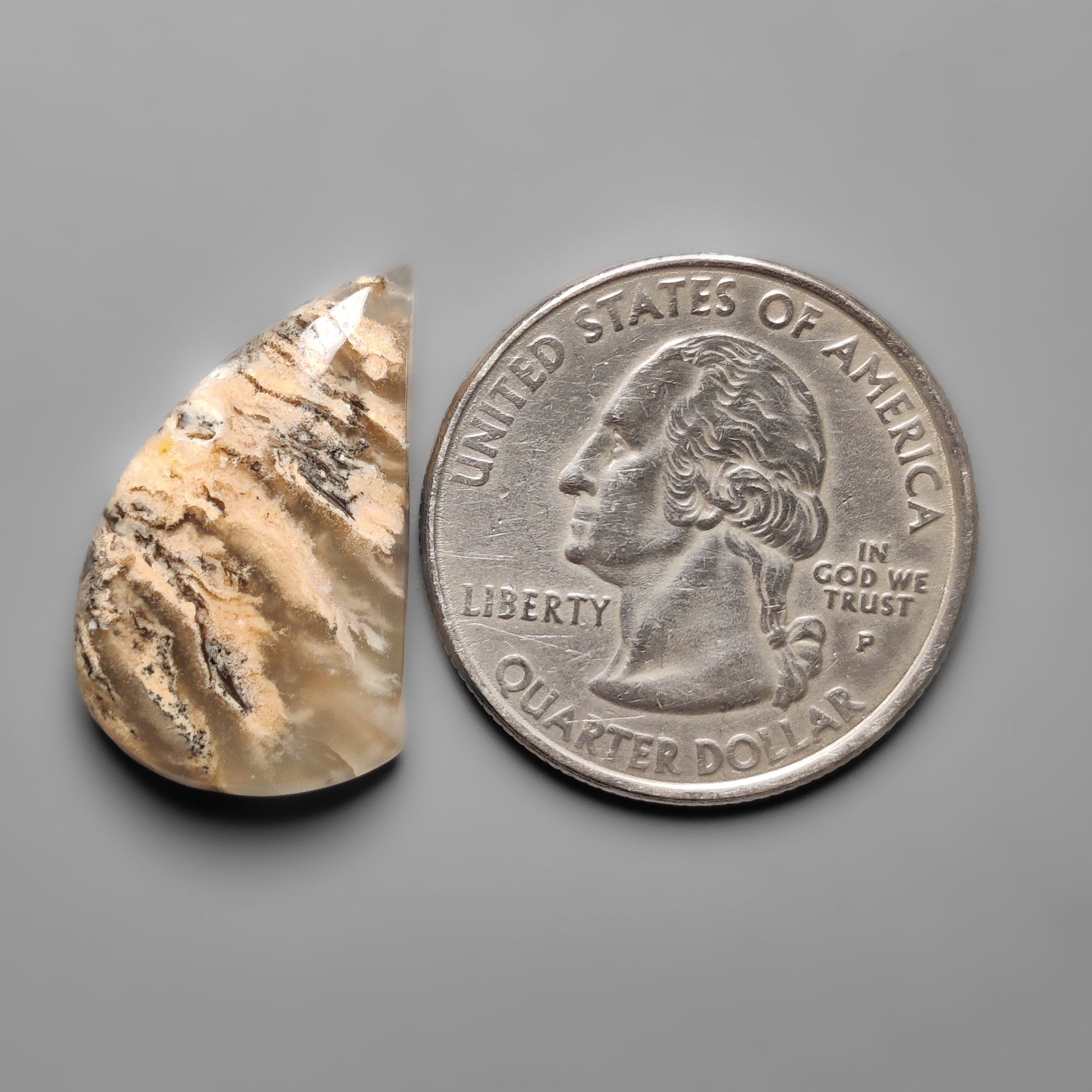 Dendritic Agate
