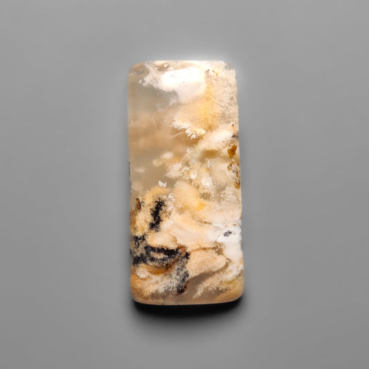 Dendritic Agate