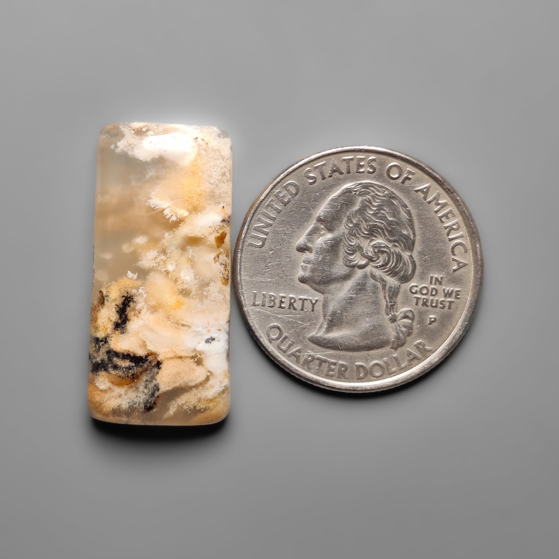 Dendritic Agate