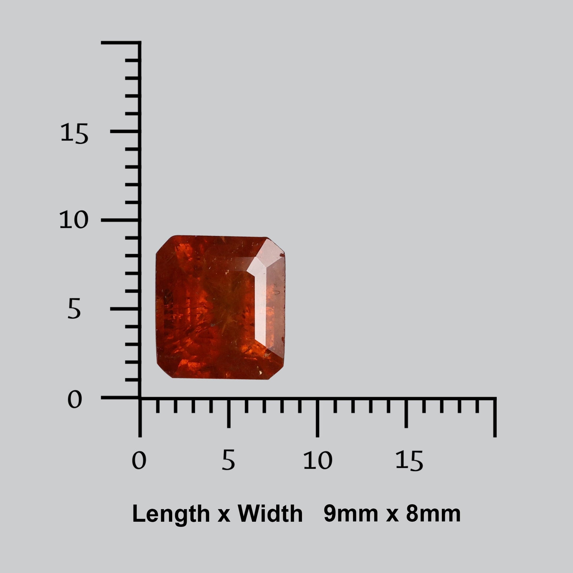 Garnet