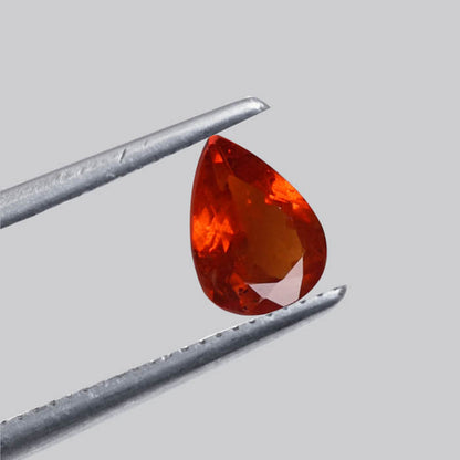 Garnet