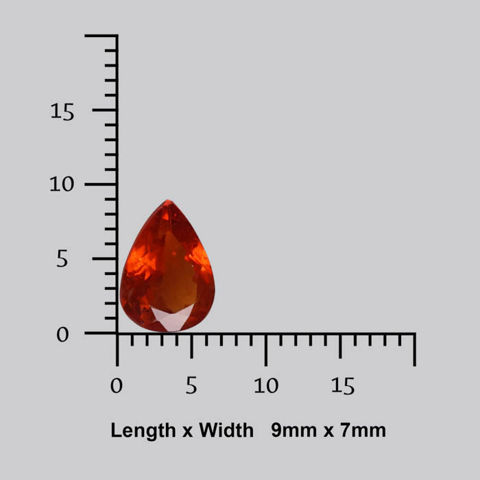 Garnet