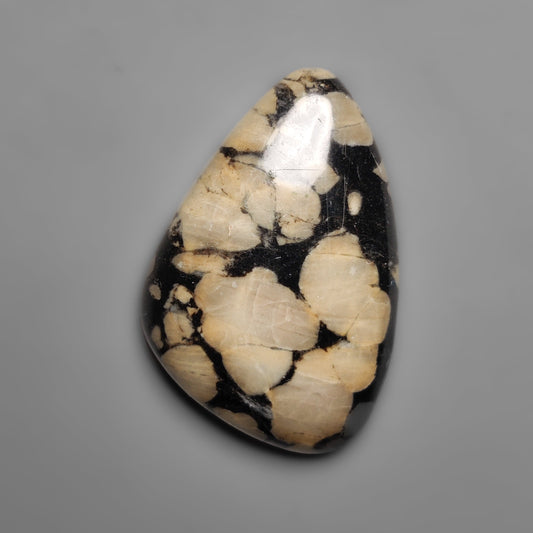 Obsidian