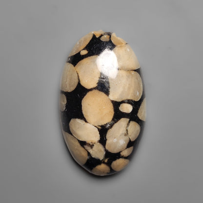 Obsidian
