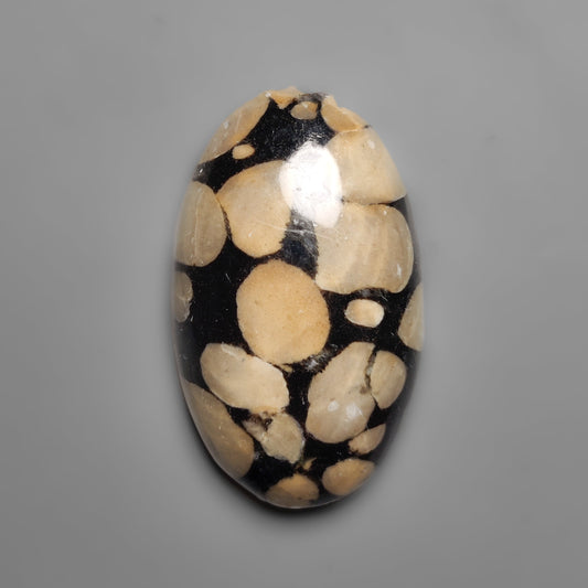 Obsidian