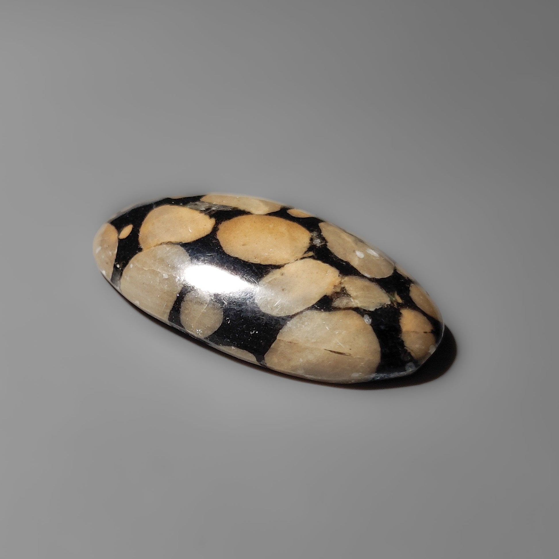 Obsidian