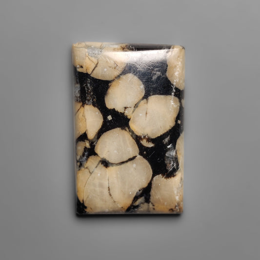 Obsidian