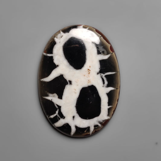 Septarian