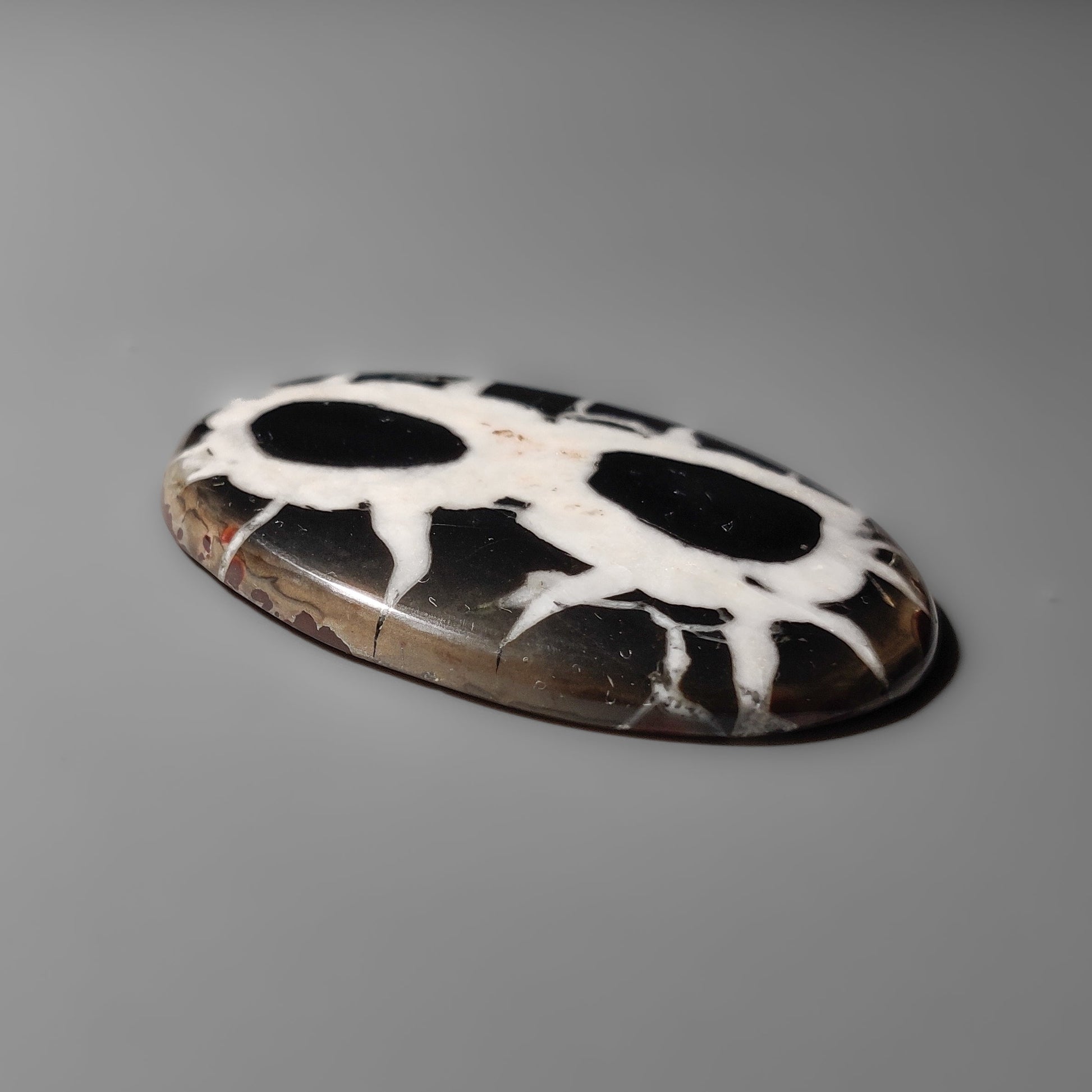 Septarian