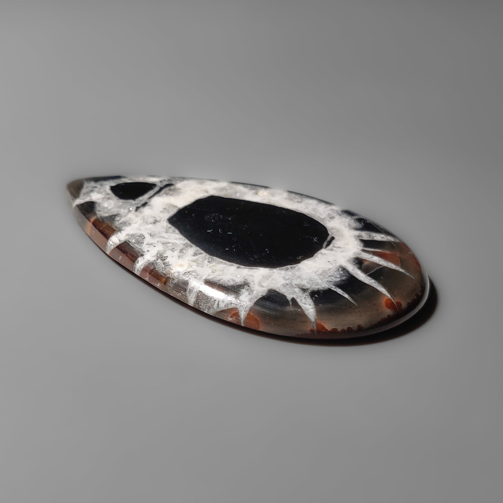 Septarian