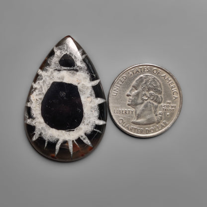Septarian
