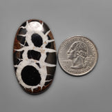 Septarian