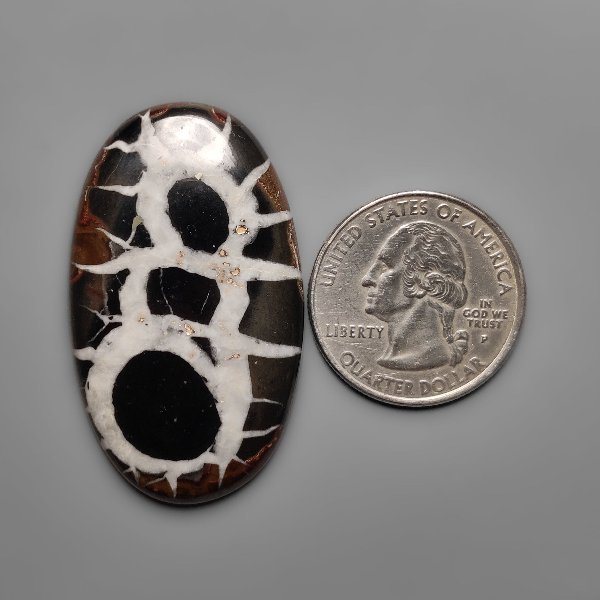 Septarian