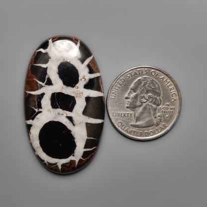 Septarian