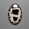 Septarian