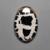 Septarian