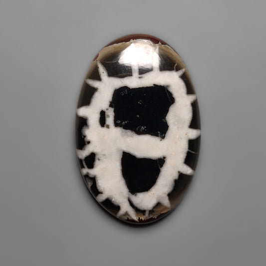 Septarian