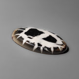 Septarian